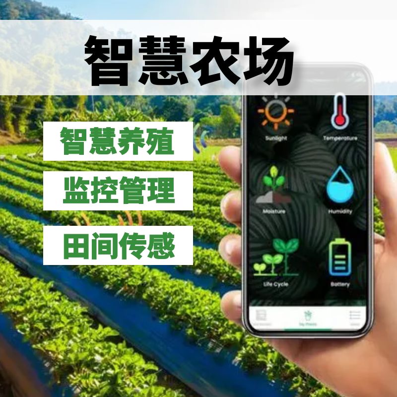 智慧农场